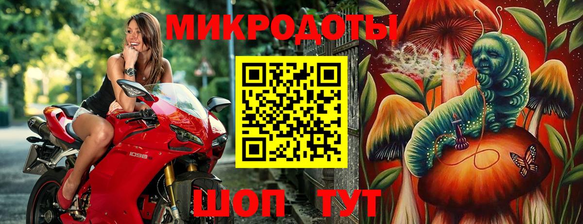 Галлюциногенные грибы Cubensis Новоалександровск